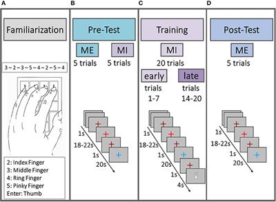 Signal Processing in fNIRS: A Case for the Removal of Systemic Activity for Single Trial Data